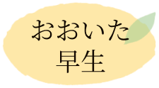 おおいた早生