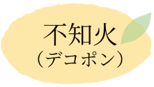 不知火（デコポン）